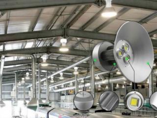 Cánh đồng tỏi tây khoe sắc dưới ánh đèn LED